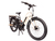Vista Cruiser Electric Bicycle - Black & Cream