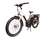 Vista Cruiser Electric Bicycle - Black & Cream