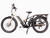 Vista Cruiser Electric Bicycle - Black & Cream