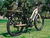 Vista Cruiser Electric Bicycle - Black & Cream