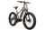 FT1000MD Mid-Drive Electric Bike in Moss green. Right side angle shot.