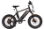 XP750-20 Gen-3 Fat Tire E-Bike W/ 20" Wheels - Black